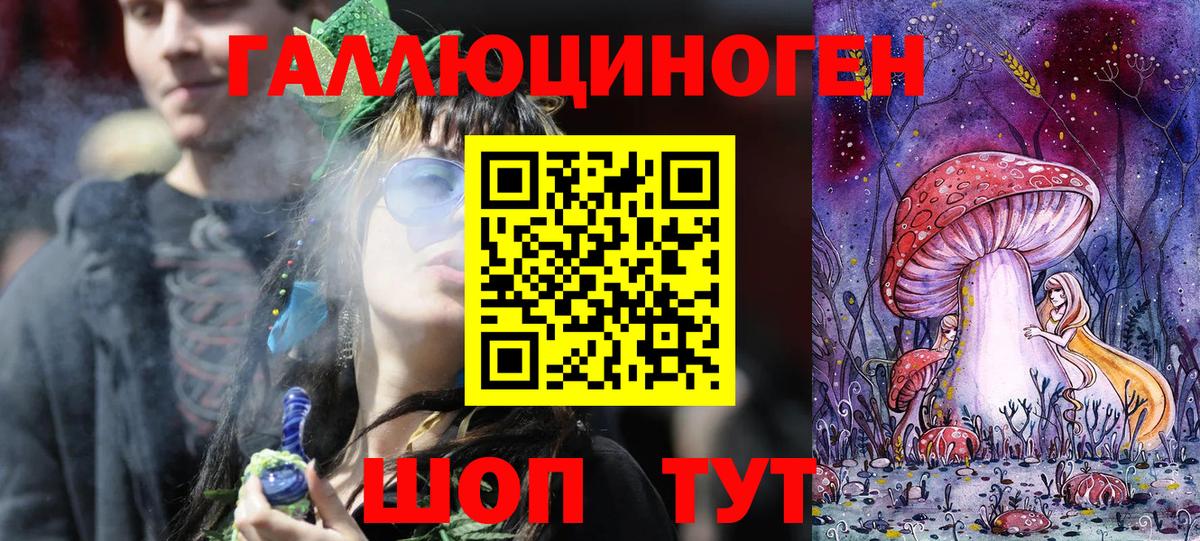 что такое   Ярославль  Галлюциногенные грибы мухоморы  Псилоцибиновые грибы Magic Shrooms 