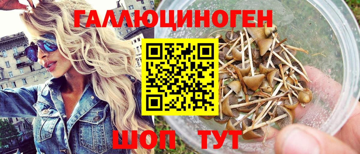 Меф   ГАШ  Ярославль  Кокаин  Магазин наркотиков  ГАШИШ  Меф МЯУ МЯУ  