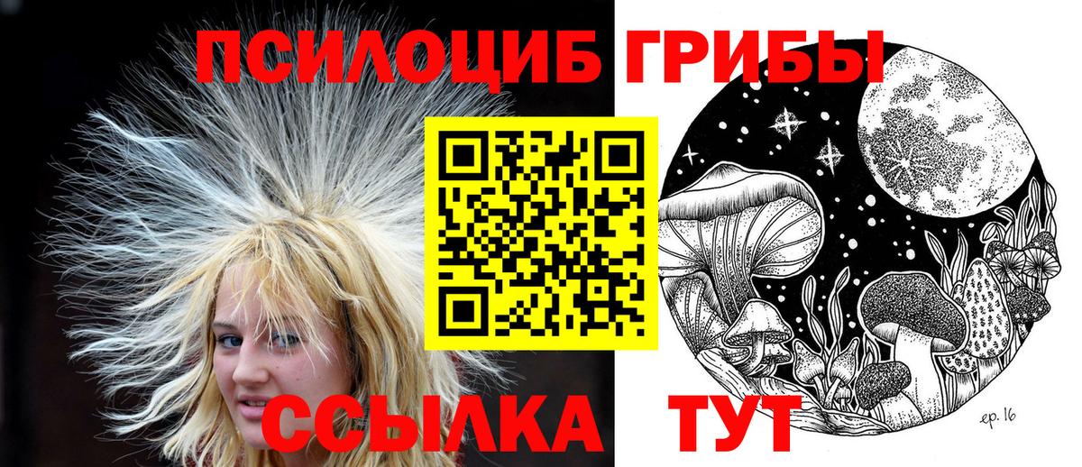Галлюциногенные грибы мухоморы  Псилоцибиновые грибы GOLDEN TEACHER  Ярославль  Вход с VPN 