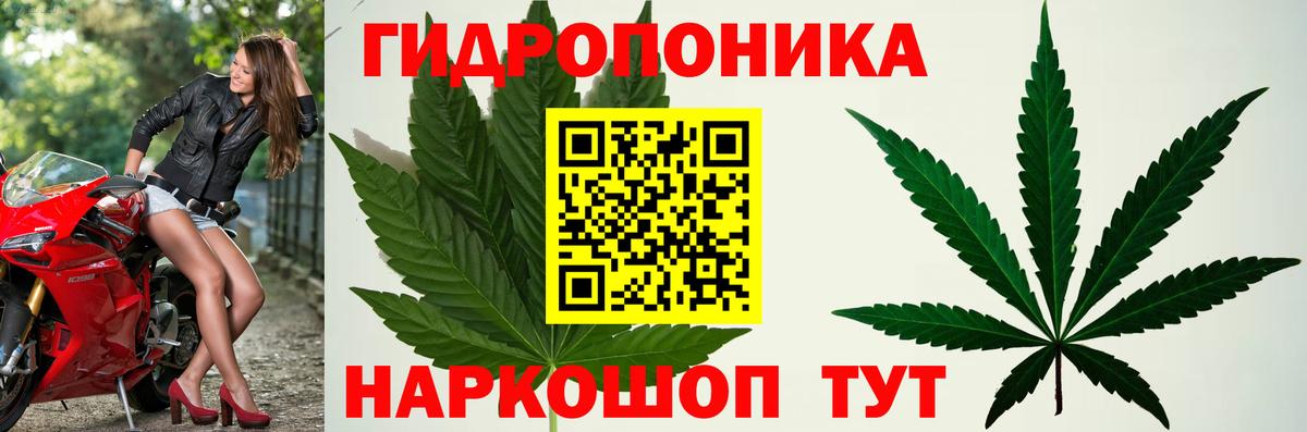Канабис марихуана  Вход с VPN  Ярославль  Бошки Шишки марихуана  Конопля Ganja  Марихуана план 